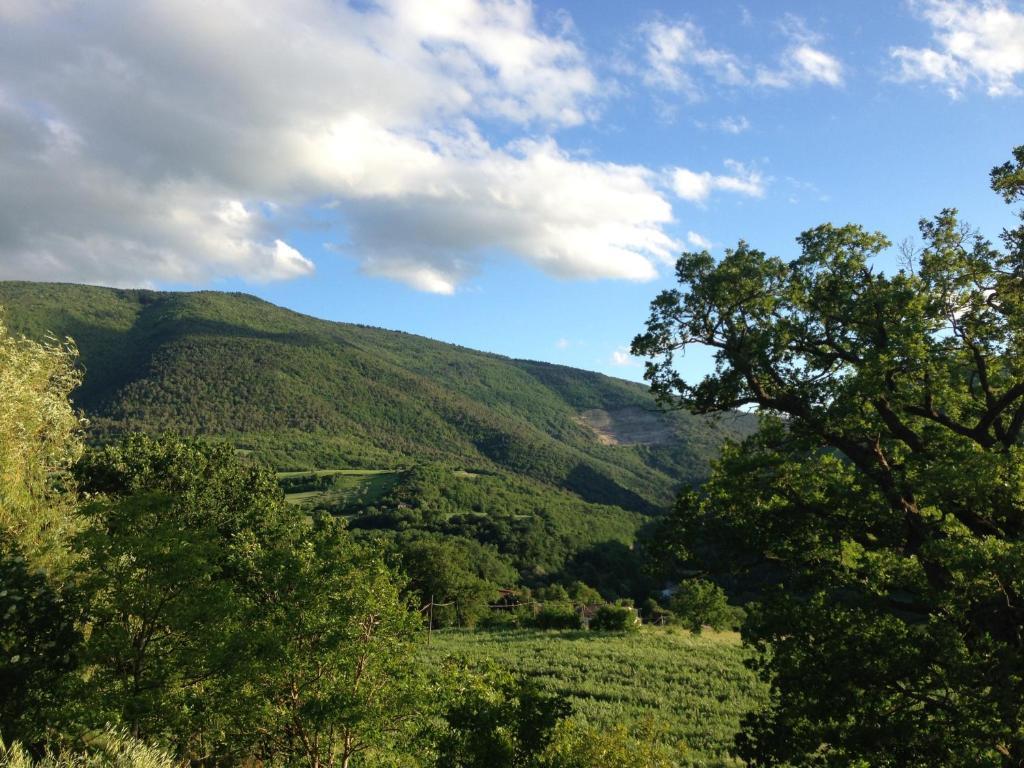 Vila Agriturismo Nizzi Assisi Exteriér fotografie